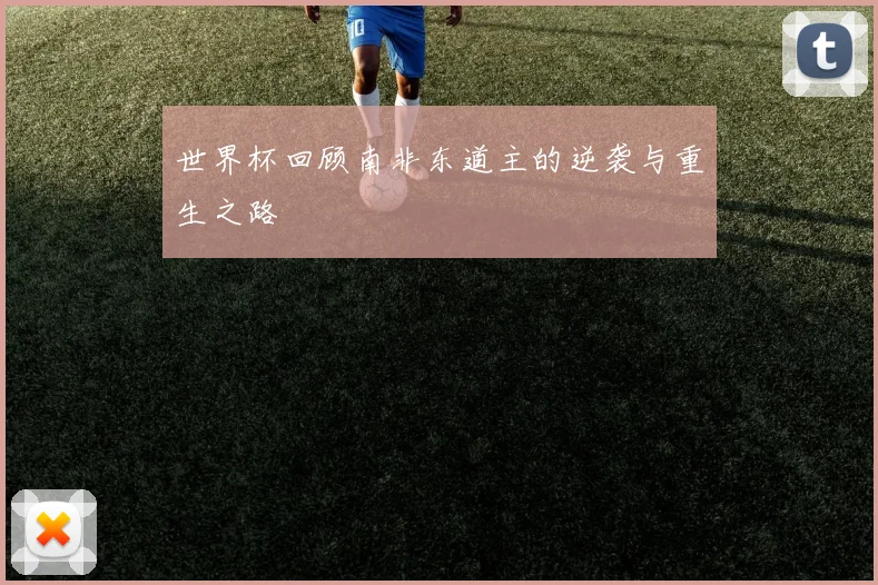 世界杯回顾南非东道主的逆袭与重生之路